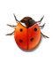 Нет новых сообщений